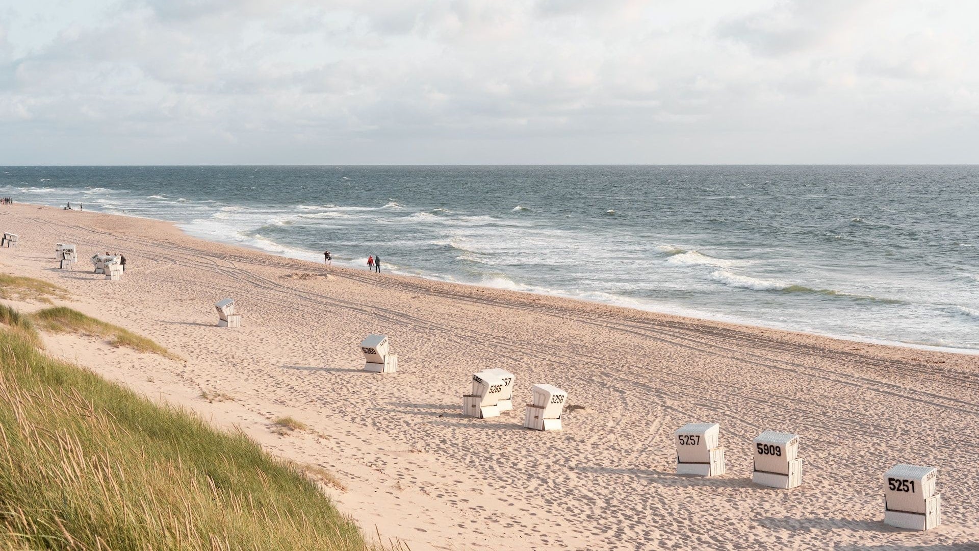 Strandkörbe am Meer